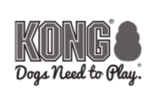 logo Kong